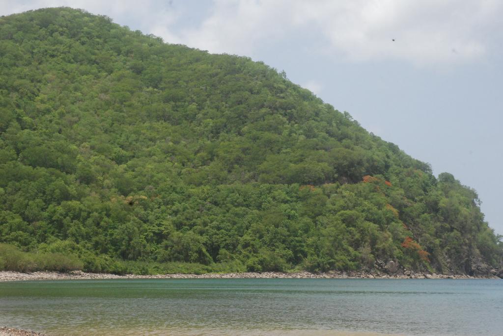Bungalow Papaye بوانت-نوار المظهر الخارجي الصورة