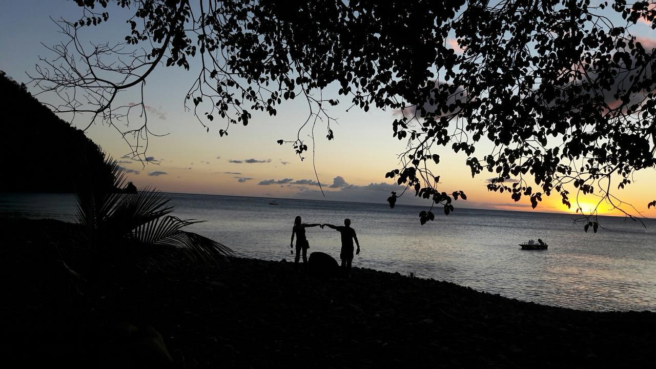 Bungalow Papaye بوانت-نوار المظهر الخارجي الصورة