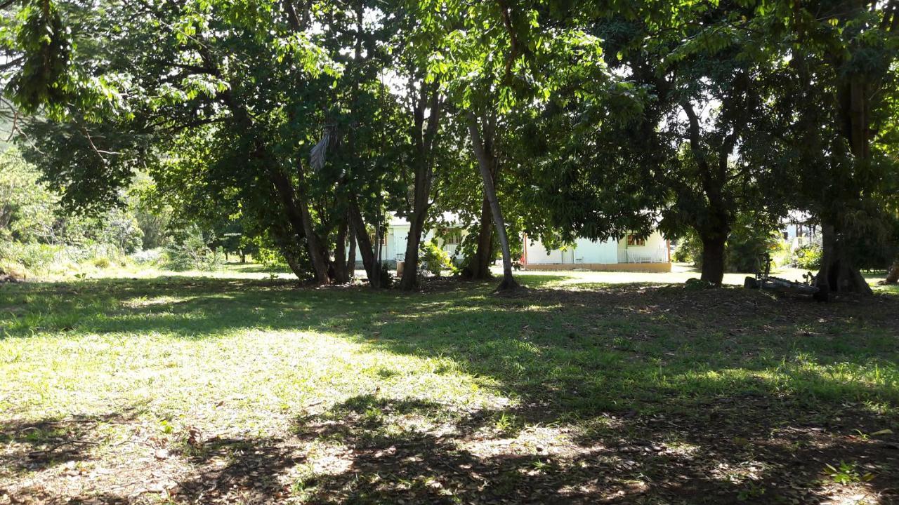 Bungalow Papaye بوانت-نوار المظهر الخارجي الصورة